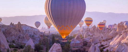 The Journey Back Home