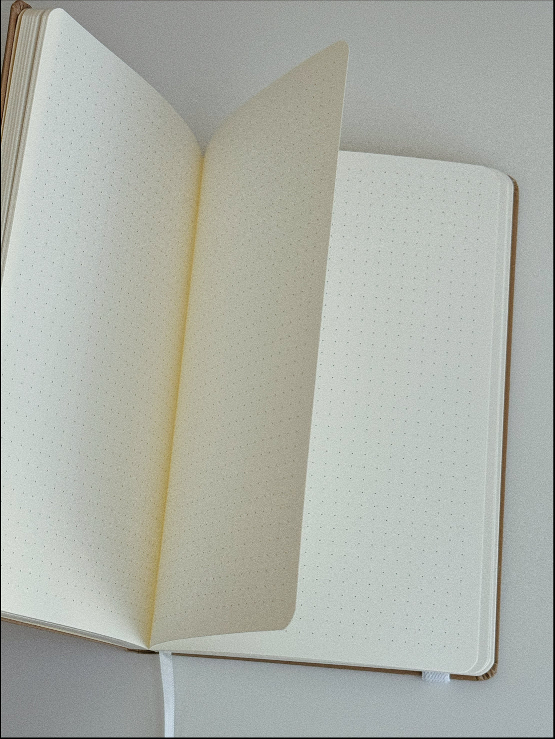 Yin & Yang | Journal