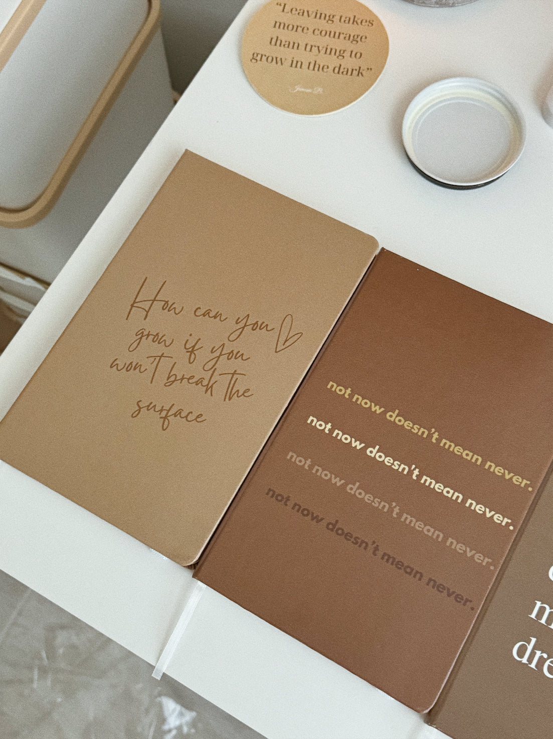 How can you grow | Journal